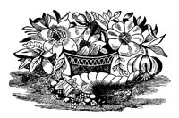 FLOWER18.PCX