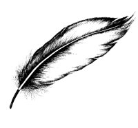 FEATHER.PCX