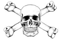 SKULLBNS.PCX