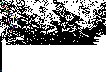 NATIV3.PCX