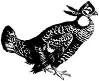 PRCHIK2.PCX