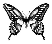 BTRFLY1.PCX