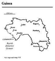 GUINEA2.PCX
