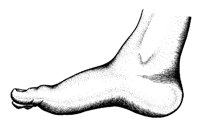 FOOT.PCX