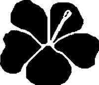 FLOWER.PCX