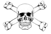 SKULLBNS.PCX