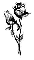 ROSES.PCX