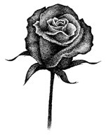 ROSE.PCX