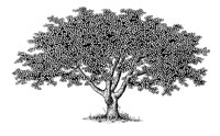OAK2.PCX