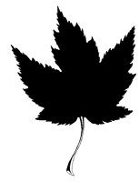 LEAF.PCX
