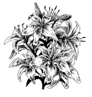 FLOWERS2.PCX