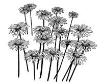 DAISIES.PCX