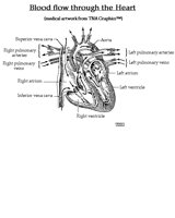HEART.PCX