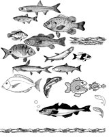 FISH1.PCX