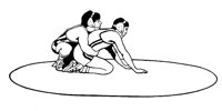 WRESTLE.PCX