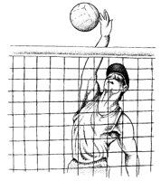 VOLYBALL.PCX