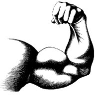 BICEP.PCX