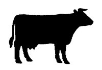 CATTLE.PCX