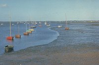 ESTUARY.JPG
