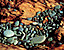 woodstone.gif