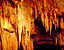 woodpatter6.gif