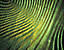woodpatter10.gif