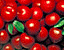 tomatoes20.gif