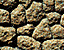 stonepatter2.gif