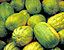 squash56.gif