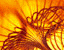 spring34.gif