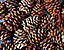 pinecone9.gif