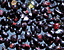 pebbles6.gif