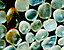pebbles4.gif