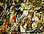 pebbles35.gif