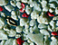 pebbles13.gif