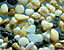 pebbles.gif