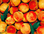 peaches9.gif