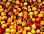 peaches45.gif
