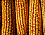 pattern35.gif