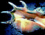 pattern 30.gif