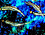 patter 31.gif