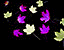 mapleleav9.gif