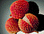 lychees.gif