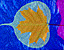 leafpattern.gif