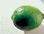 greenlimes.gif