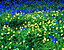foliageflowe.gif