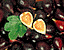 figs2.gif