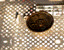 cddrive10.gif