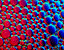 bubbles5.gif