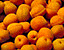 apricots44.gif